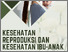 [thumbnail of Kesehatan Reproduksi Dan Kesehatan Ibu Anak]