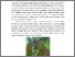 [thumbnail of BAB II]