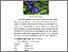 [thumbnail of BAB 2]