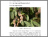 [thumbnail of BAB II]