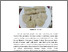 [thumbnail of BAB II]