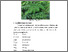 [thumbnail of FILE.3BABII]