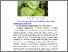 [thumbnail of FILE 3 BAB II]