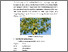 [thumbnail of FILE 3 BAB II]
