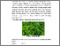 [thumbnail of FILE 3 BAB II]