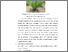 [thumbnail of FILE 3. BAB II]