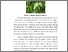 [thumbnail of FILE 3.BAB II]