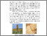 [thumbnail of BAB 2]
