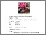 [thumbnail of FILE.3.BAB.II]