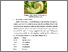 [thumbnail of FILE.3.BAB.II]