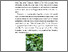 [thumbnail of FILE.3.BAB.II]