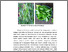 [thumbnail of FILE.3.BAB.II]