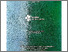 [thumbnail of Cover]