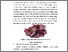 [thumbnail of FILE.3.BAB.II]