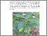 [thumbnail of BAB II]